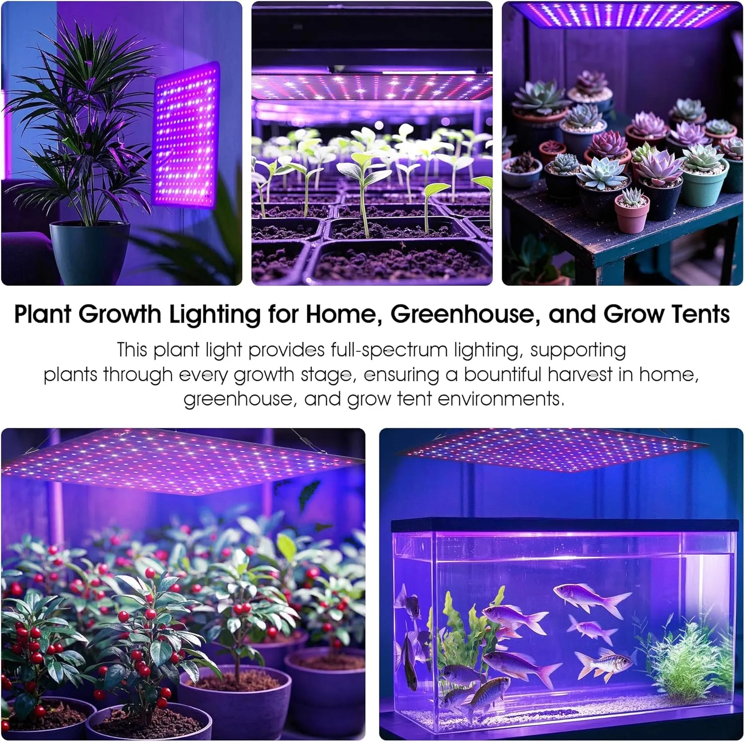 2 Pack LED Grow Light Panel 200W Lamp for Indoor Plants, Full Spectrum with White Blue Red UV IR LEDs for 4x4ft Coverage Grow Tent Greenhouse Veg and Bloom Seedlings Hydroponics