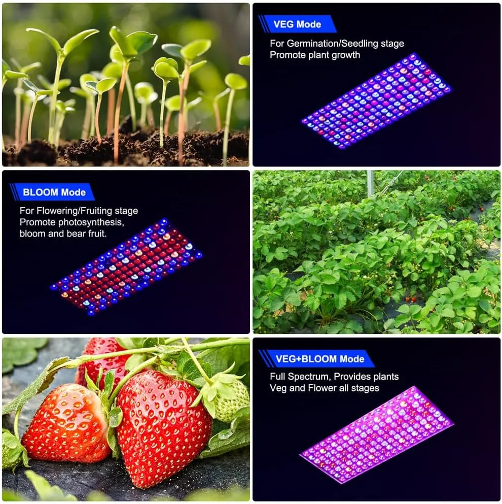 2024 Upgraded BW1000 LED Grow Lights Double Chips Full Spectrum for Greenhouse and Indoor Plant Veg and Flower Growing [White]