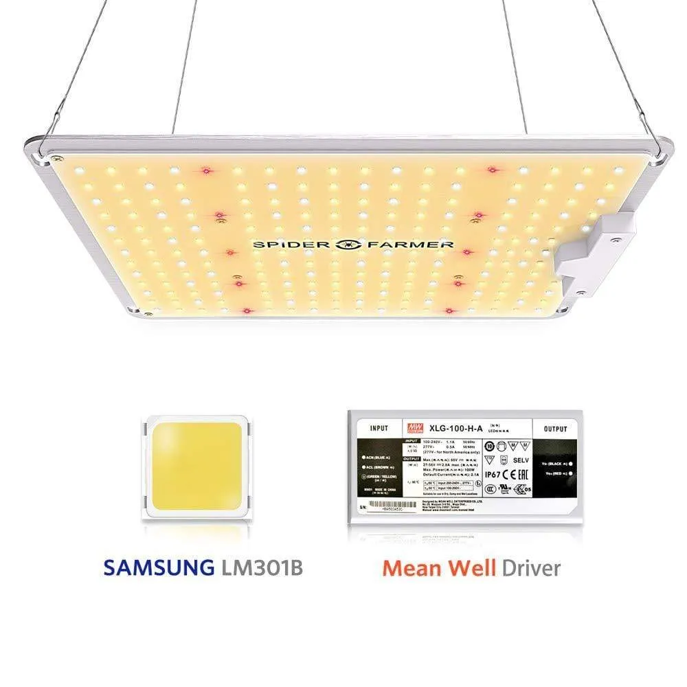 3 x 3 Gorilla Grow Tent with SF2000 LED or SF1000