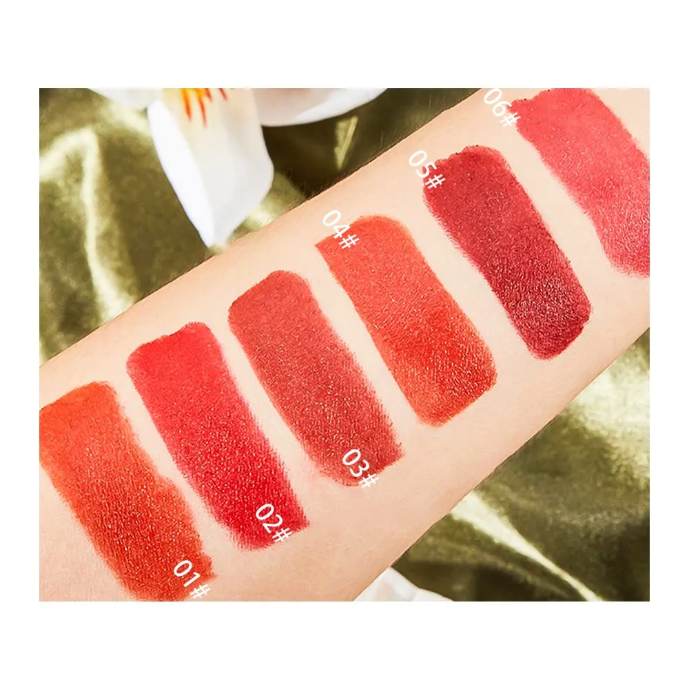 6 Colors Matte Lipstick, Matte Lipstick Long Lasting Waterproof Lip Gloss with Mirror Velvety High Pigmented Lip Stain Kit Girls Women Make Up Gift (04#)