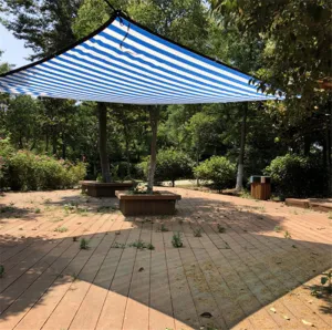 Attractive Impeccable Sun White Blue Color Shelter