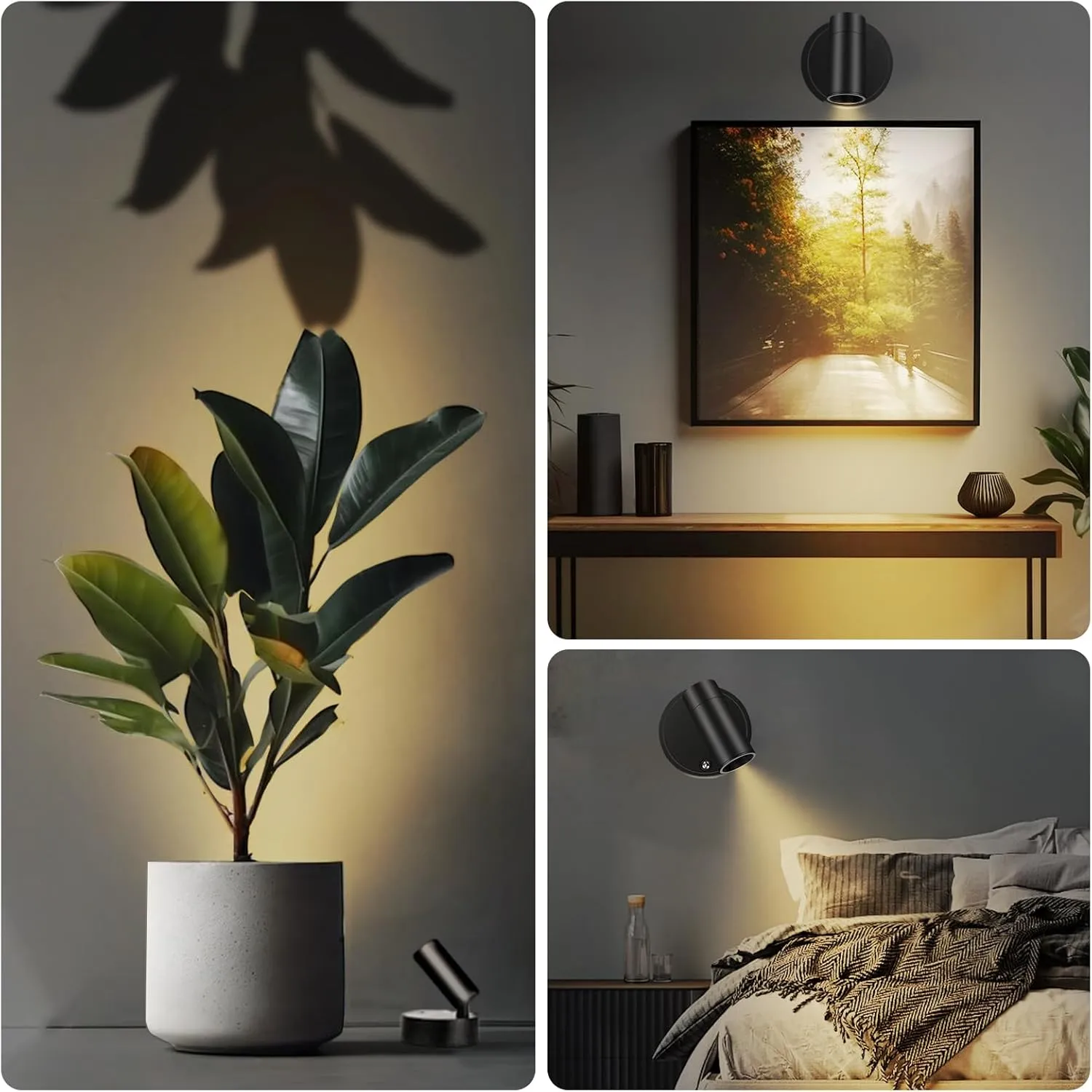 Battery Operated Spot Lights Indoor: 20-120Hrs Battery Life Wireless Spotlight with Stepless Color Temperature & Stepless Dimming & Timer, LED Accent Lighting with Remote for Plant Picture Wall Floor