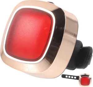 BESPORTBLE Bike Tail Lamp 5 Gear Adjustment Waterproof 650mah Charging Essential Night Riding Safety Light