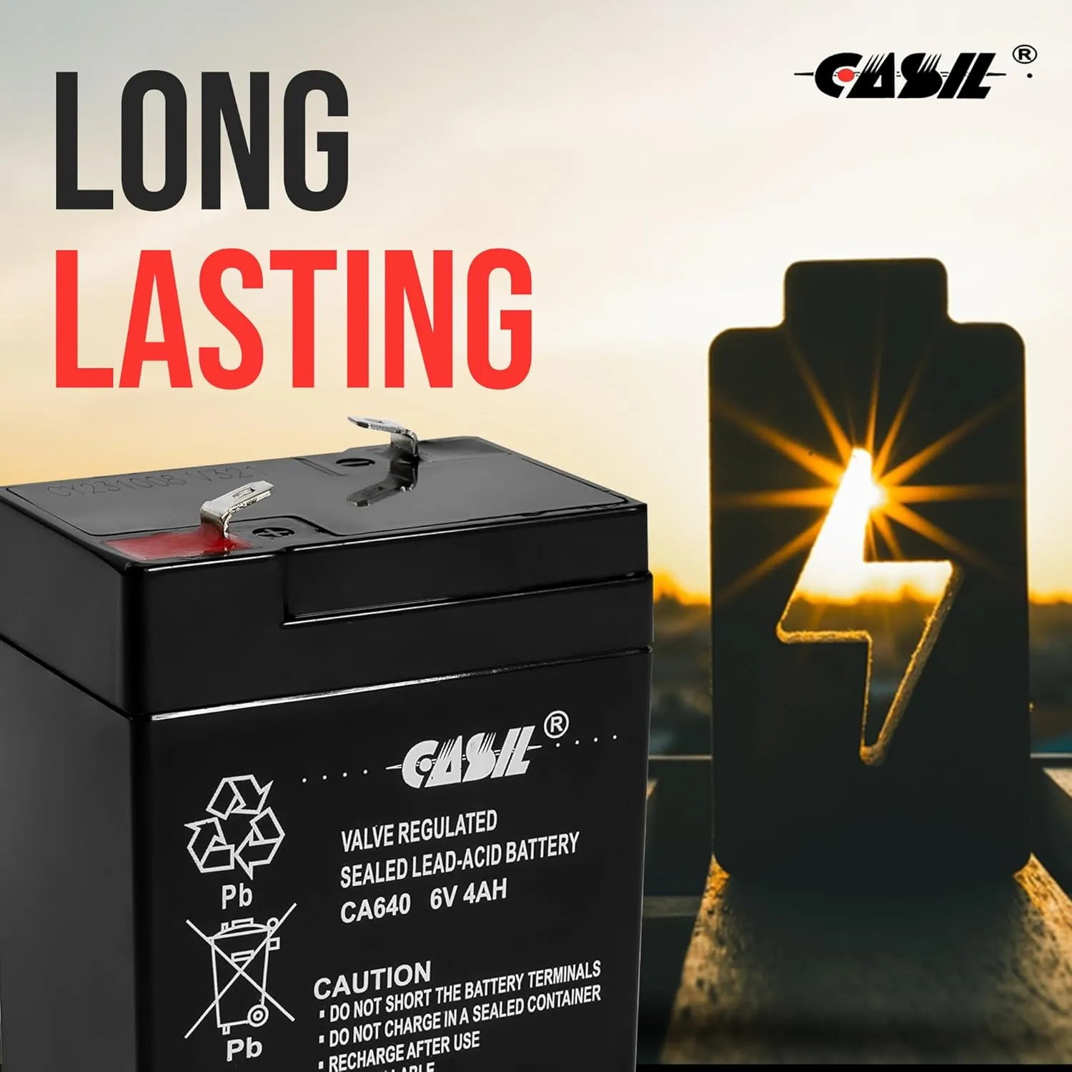 Casil 6V Battery Compatible with Power Wheels and Moultrie Feeder 6 Volt Rechargeable Batteries for Ride On Toys, 6V4.5AH/20HR Emergency Light, 3FM4.5 6V4AH Deer Feeder