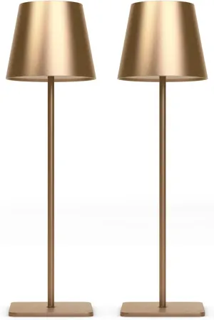 Cordless Table Lamps Set of 2, 3 Color Stepless Dimming, 5000mAh Rechargeable Battery Operated Lamp, Outdoor Cordless Lamp, for Dining Room, Living Room, Bedroom, Bar, Restaurant (Gold)