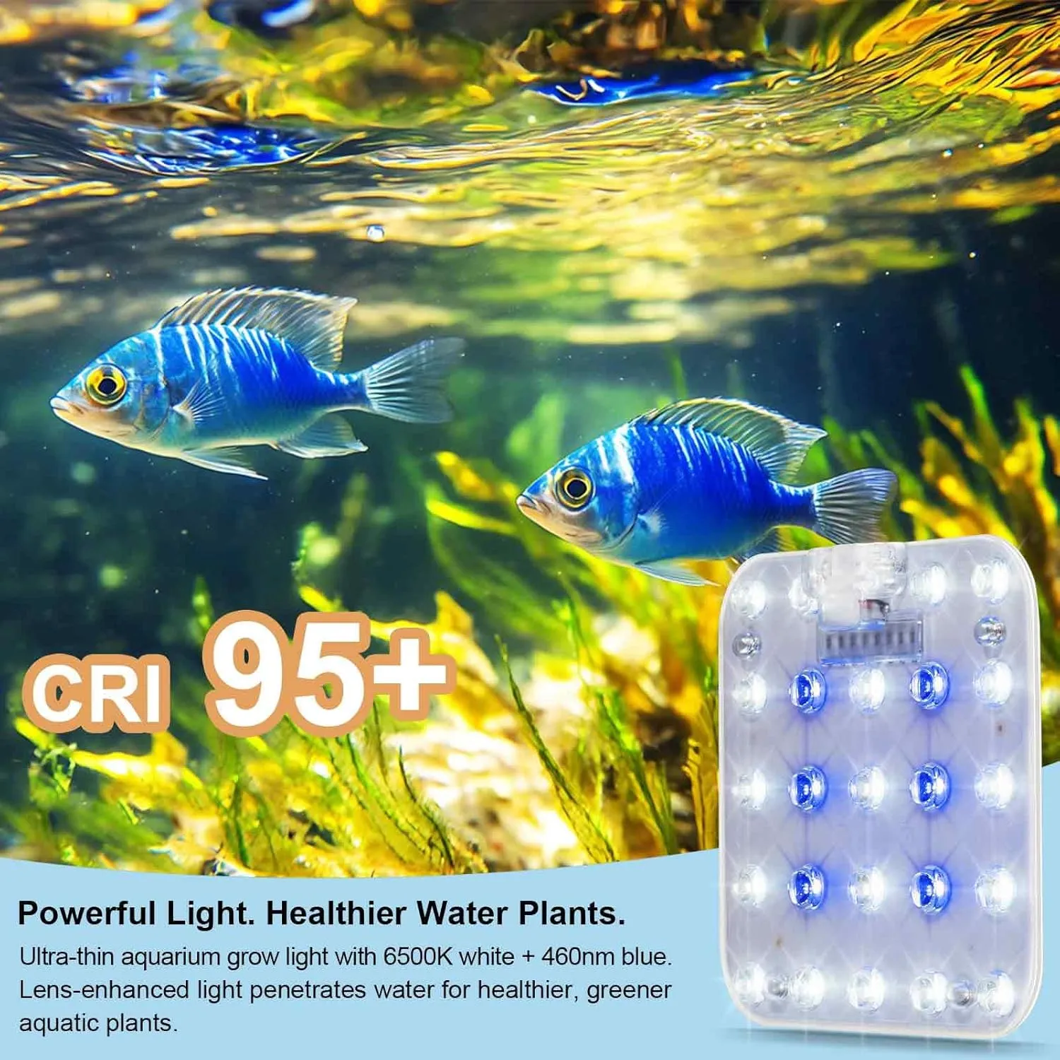 DOMMIA Aquarium Light, 10W Full Spectrum High PPFD with Optical Lens, Auto on/Off and 6/12/16H Timer,4 Brightness Levels,Perfect for 1-5 Gallon Tanks Under Shelves(No Adapters)