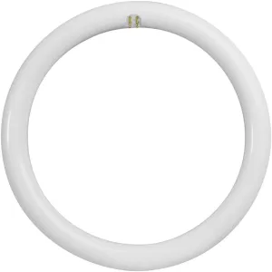 Feit Electric FC12/840/LED 32W Equivalent 20-Watt Non-Dimmable 2000 Lumen T9 4-pin G10Q Base Direct Replacement, 12" Diameter, 4100K (Cool White)