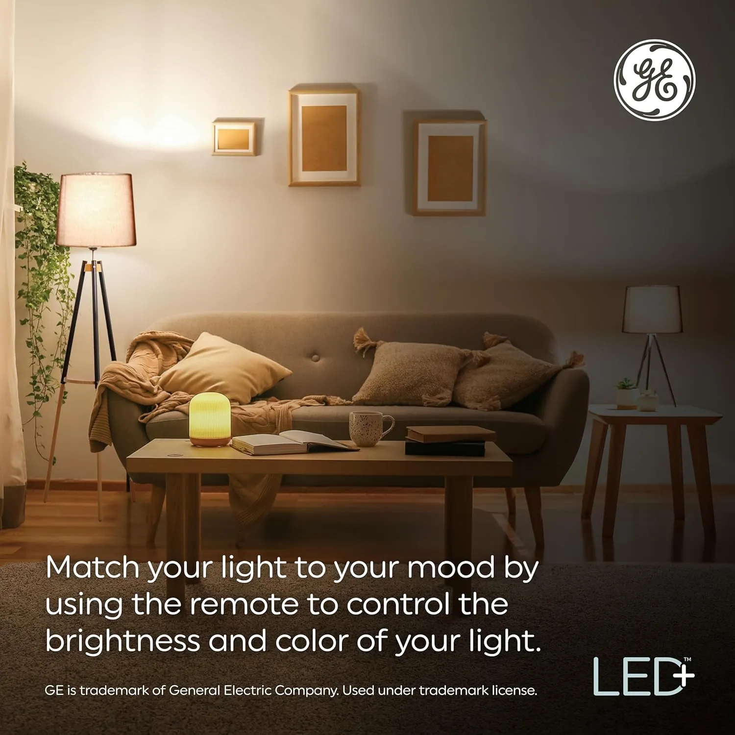GE LED  Color Changing LED Light Bulbs with Remote, No App or Wi-Fi Required, A19 Bulbs (3 Pack)