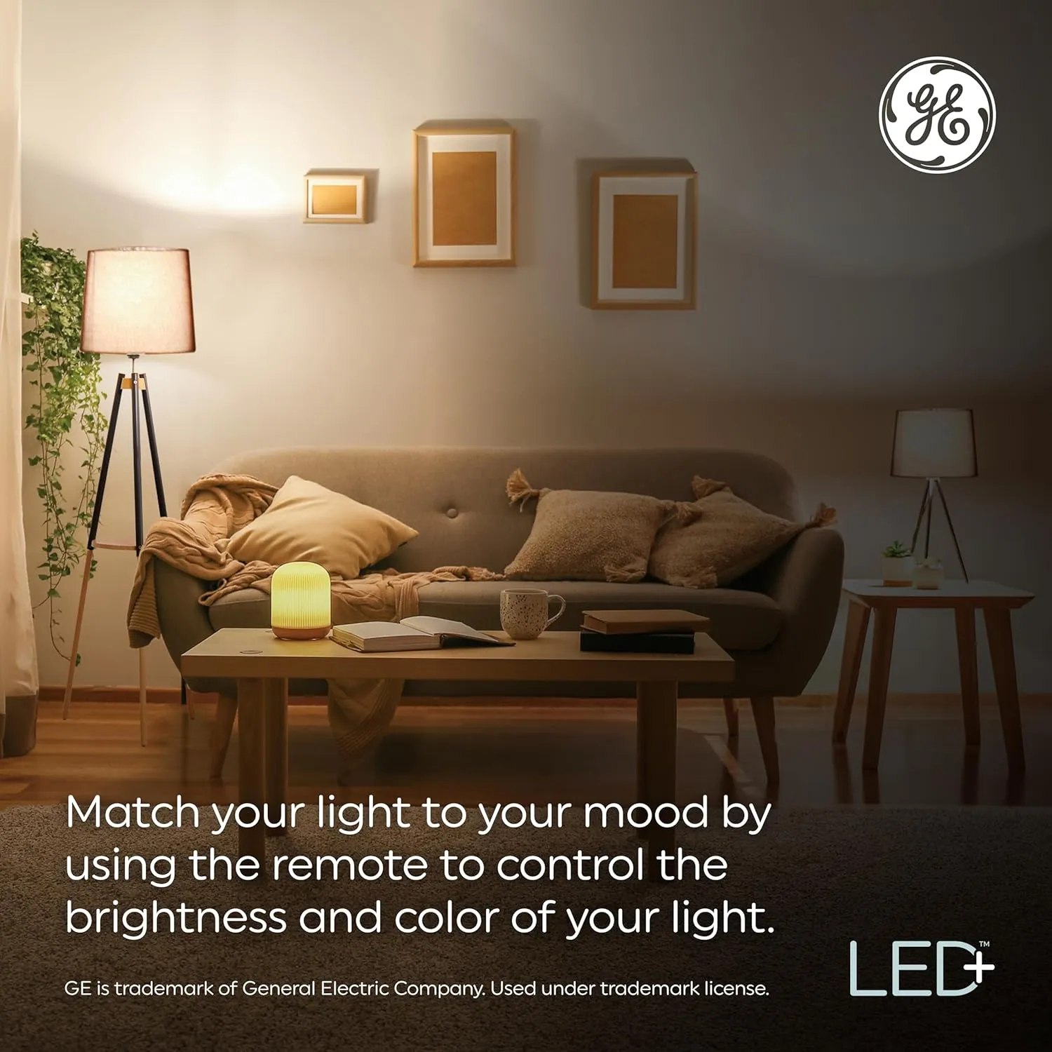 GE LED  Color Changing LED Light Bulbs with Remote, No App or Wi-Fi Required, A19 Bulbs, CA Compliant (2 Pack)