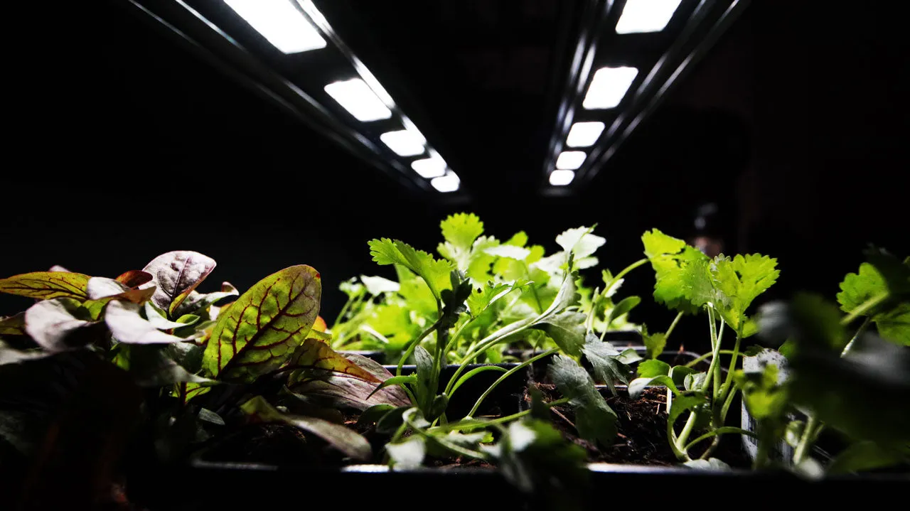 Grow Tent; Double Strip  | SMRT LED  2 ft 5K Primary   2 ft Extender, 10,000 Lumens