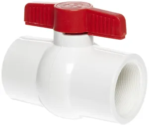 Hayward QVC1020TSEW Series QVC Compact Ball Valve, Threaded End, White, 2" Size