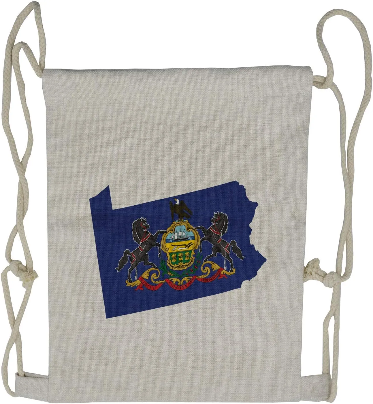 Lunarable Pennsylvania Drawstring Backpack, Flag and Map of State, Sackpack Bag