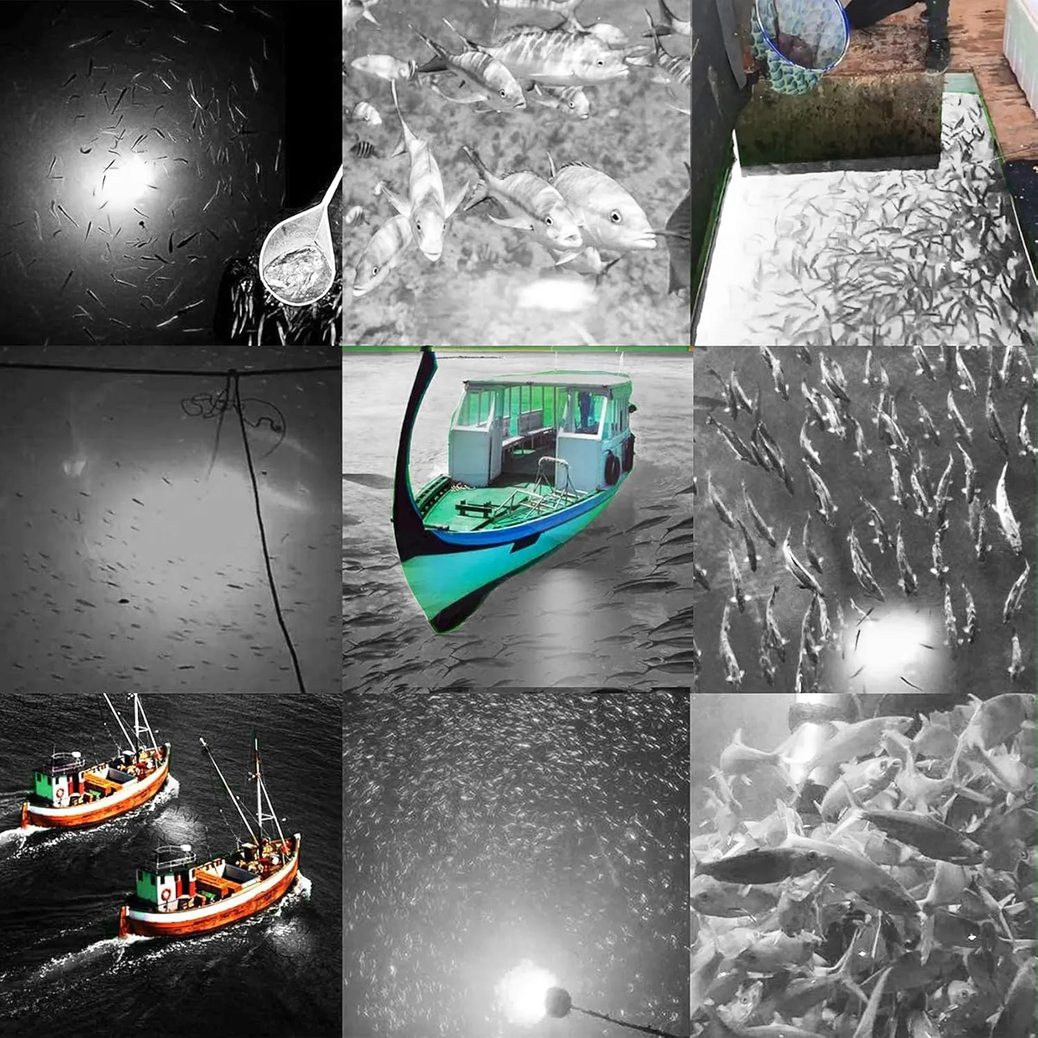 SAMDO IP68 12V LED Underwater Fishing Light 1080 Lumens Fish Attracting Light, Night Fishing Light 10.8W