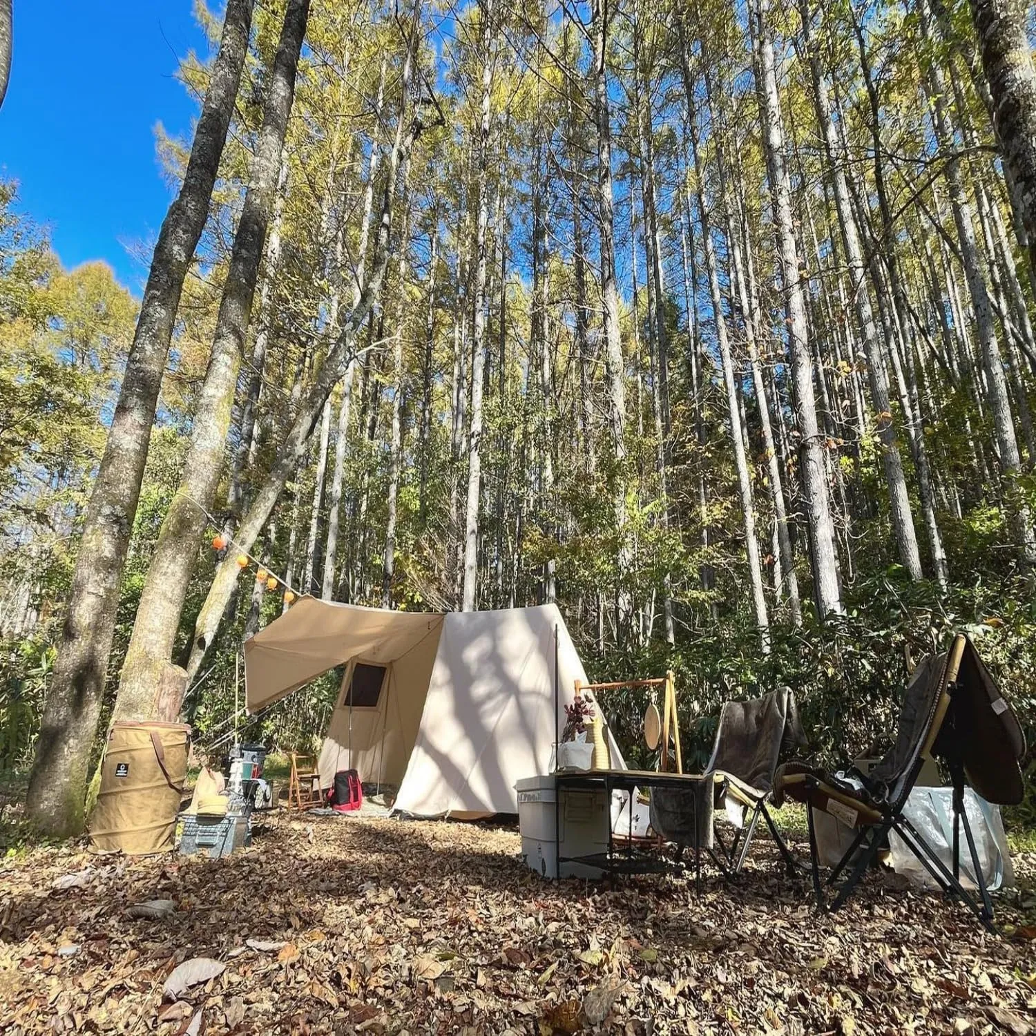 S'more Canvas Glamping Tent, 4 Season Family Camping Tent for 2/3 Person, Waterproof, Windproof, and Weather Resistant Tent for Family Glamping, Car Camping, Outdoor Party