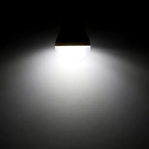 Solar-Powered LED Outdoor Lamp