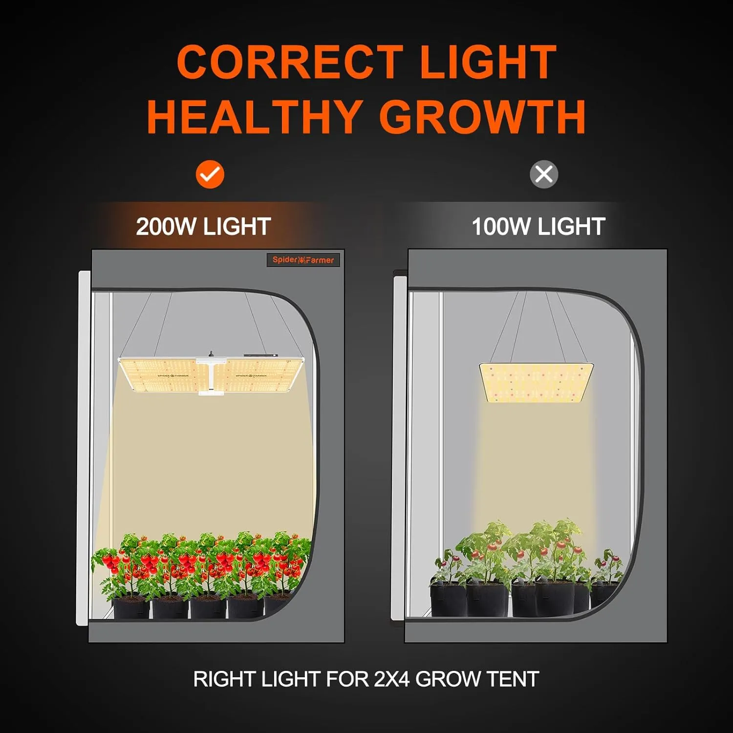 Spider Farmer® 2x4 EVO Complete Grow Tent Kit SF2000 Samsung LM301H EVO & Dimmable Grow Tent Complete System 24" x 47" x 71" Growing Tent Set 4" Ventilation System &6'' Clip Fan
