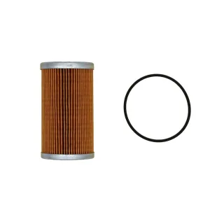 Stevens Lake Parts One New Fuel Filter Fits Case-IH CX47 D40 D45 DX40 DX45 DX60 1290055650