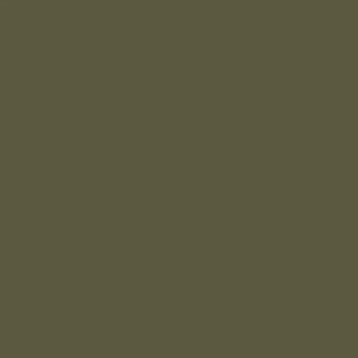 Trail Light Recycled Packable Backpack - Khaki Green