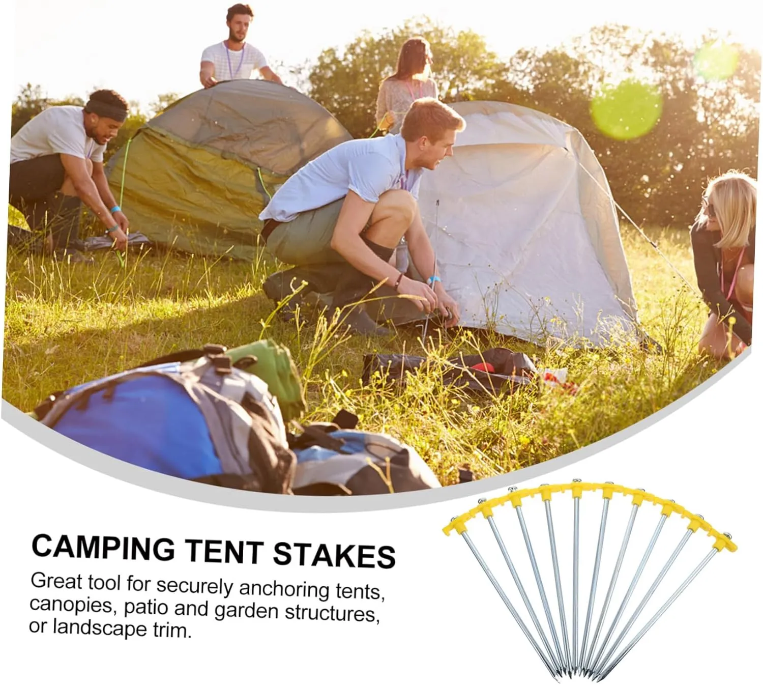 Ultralight Tent Stakes 10 Pack Aluminum Ground Stakes Tent Pegs for Outdoor