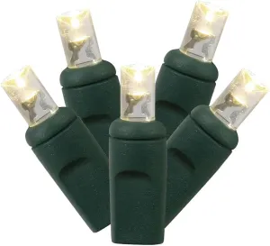 Vickerman 50 Light Wide Angle Warm White LED Light Set on Green Wire in a Poly Bag